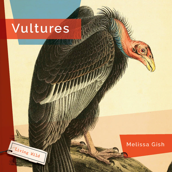 Living Wild (2024): Vultures by The Creative Company Shop