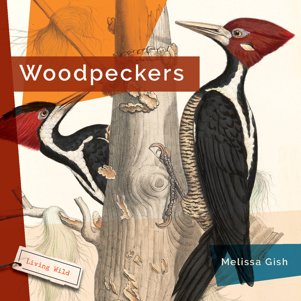Living Wild (2024): Woodpeckers by The Creative Company Shop