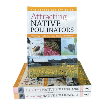 Attracting Native Pollinators