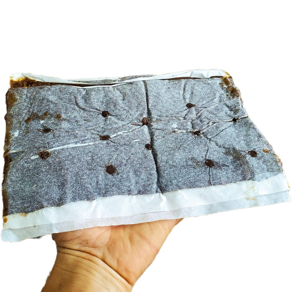 Bee Pro Protein Patties