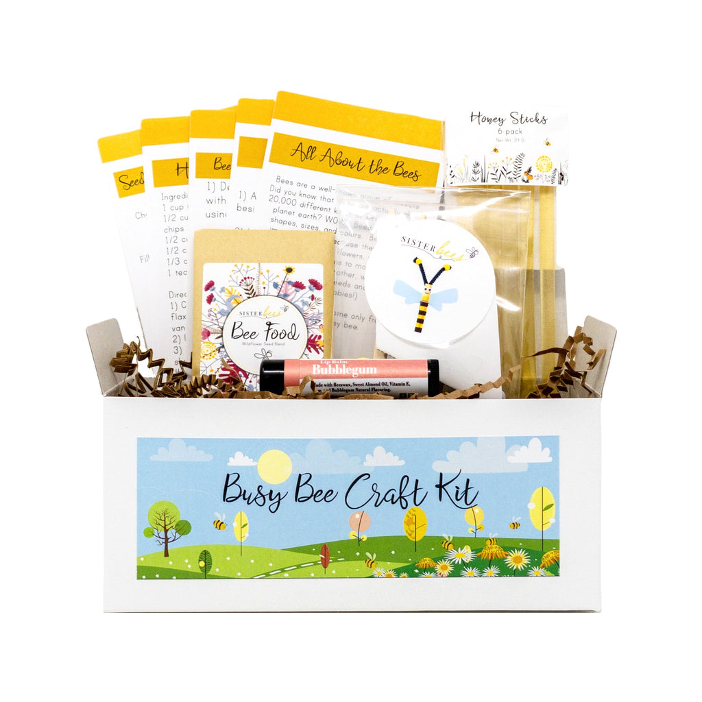 Busy Bee Kidz Kit by Sister Bees