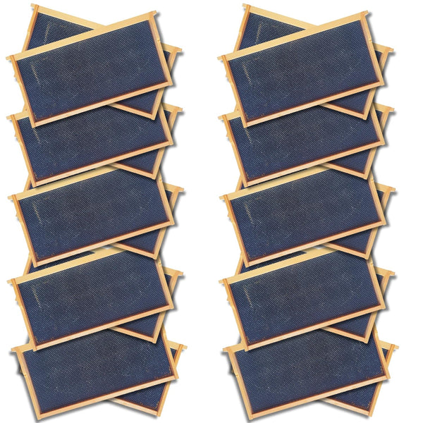Deep 9 1/8-Inch Langsroth Frame, Grooved Top / Grooved Bottom With Double Wax Foundation