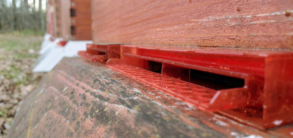 Guardian Bee Hive Entrance