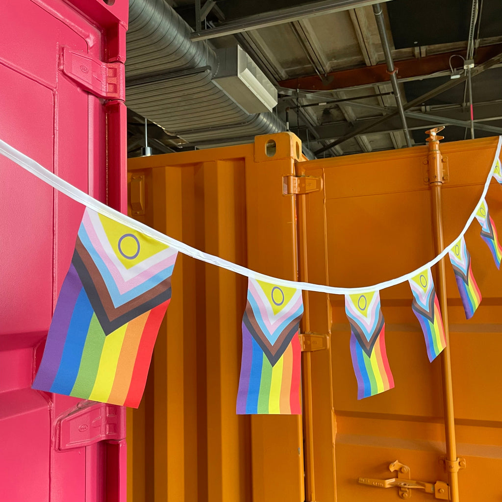 Intersex Progress Pride Flag Bunting by Flags For Good