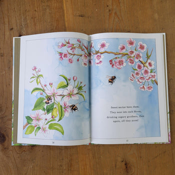 It Starts With A Bee Kids Book