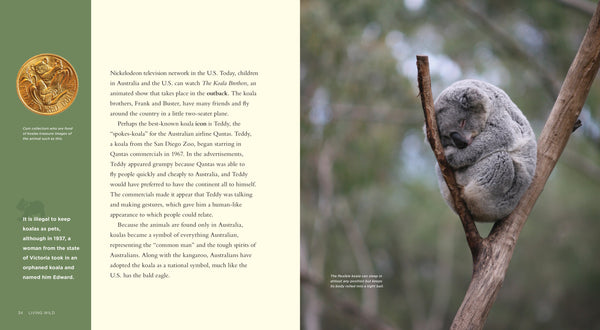 Living Wild - Classic Edition: Koalas by The Creative Company Shop