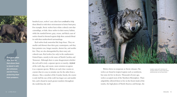 Living Wild - Classic Edition: Wolves by The Creative Company Shop