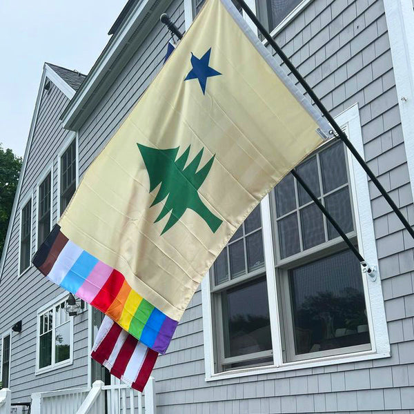 Rainbow Maine 1901 Flag