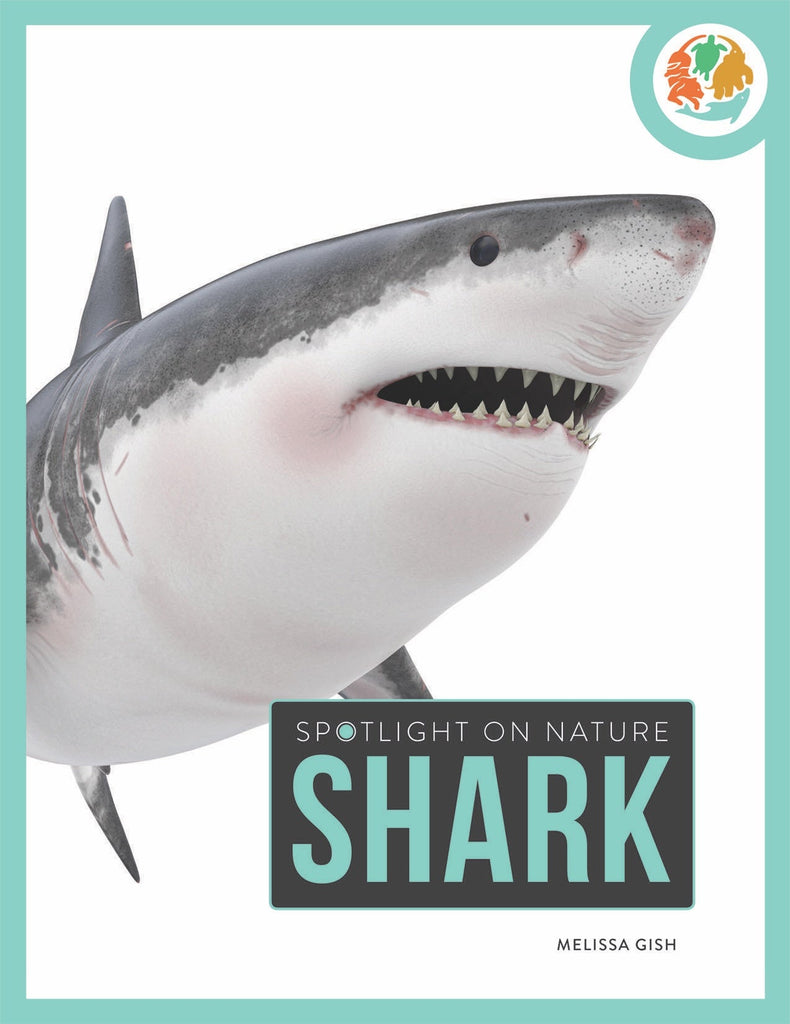 Spotlight on Nature: Shark by The Creative Company Shop