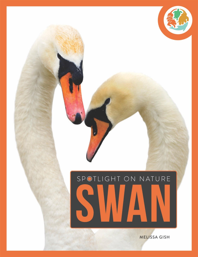 Spotlight on Nature: Swan by The Creative Company Shop