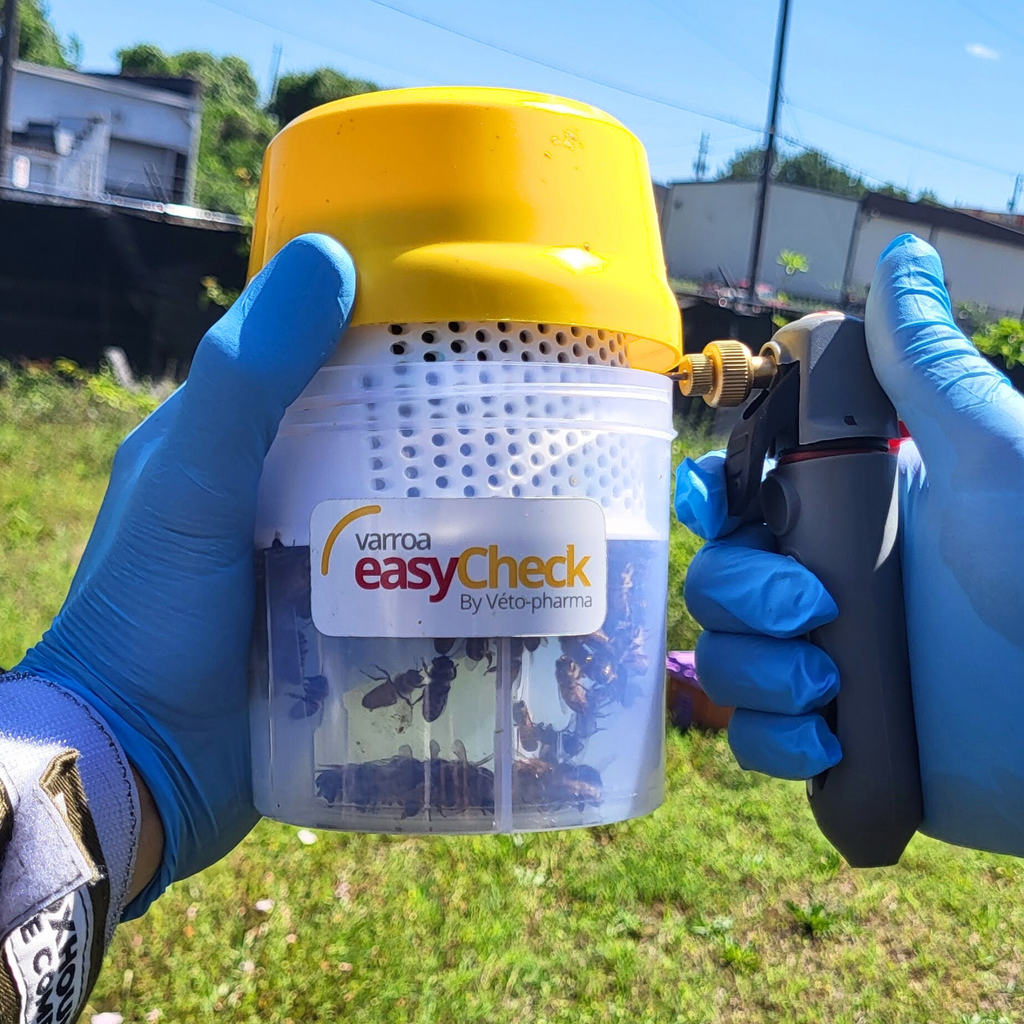 Varroa Easy Check