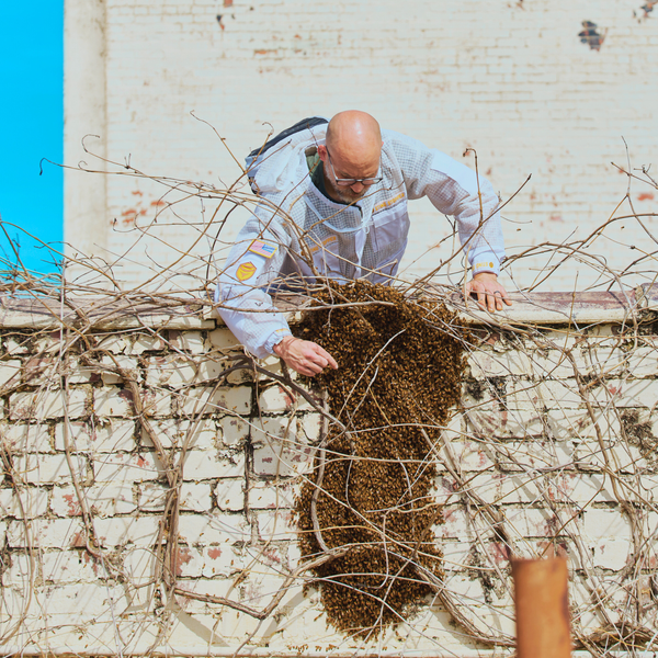 Sting Stopper Professional Ventilated Beekeeping Suit - Beekeeper White