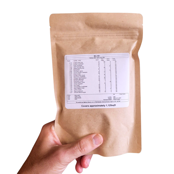 Wildflower Seed Mix for Bees and Pollinators