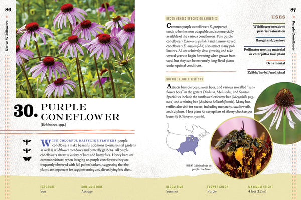 100 Plants to Feed the Bees: Provide a Healthy Habitat to Help Pollinators Thrive by Sister Bees