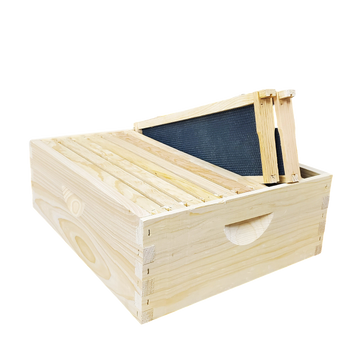 10-Frame Complete, Medium 6 5/8-inch Box with Frames and Foundation