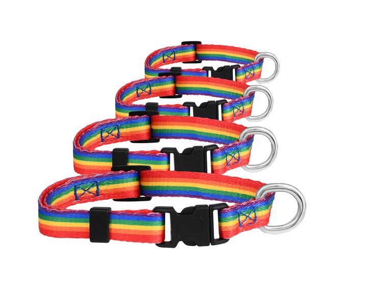 Rainbow Striped Dog/Cat/Pet Collars by Fundraising For A Cause