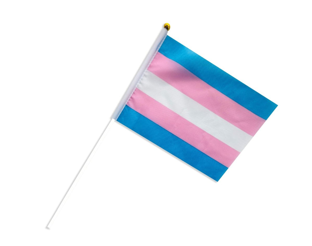 Small Transgender Flags on a Stick by Fundraising For A Cause