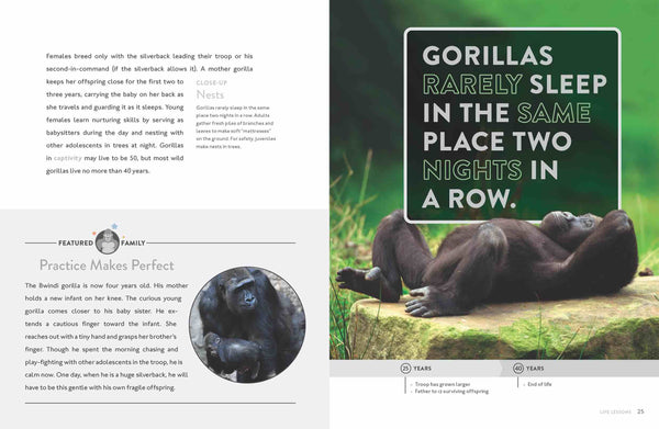 Spotlight on Nature: Gorilla by The Creative Company Shop