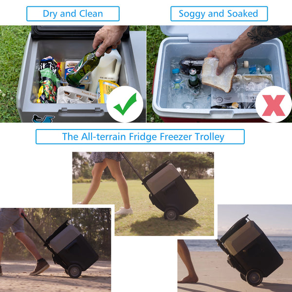 LionCooler Pro Portable Solar Fridge Freezer, 32 Quarts by ACOPOWER - Proud Libertarian - ACOPOWER