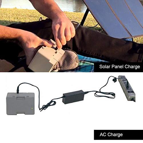 12.6V 3A Battery Charger, AC/DC Power Adapter by LionCooler - Proud Libertarian - ACOPOWER