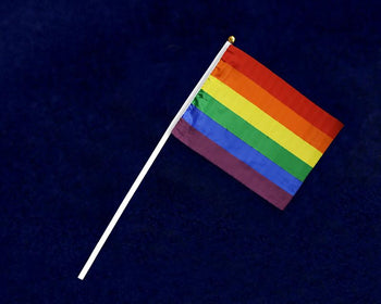 Small Rainbow Gay Pride LGBTQ Flags on a Stick - Proud Libertarian - Fundraising for a Cause
