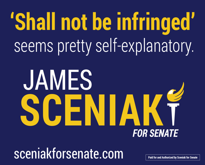 Shall Not Be Infringed - James Sceniak for Indiana Yard Sign 18" x 24" - Proud Libertarian - Sceniak for Senate