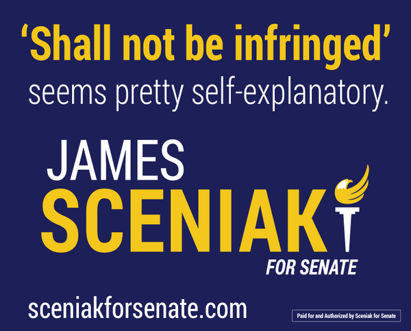 Shall Not Be Infringed - James Sceniak for Indiana Yard Sign 18" x 24" - Proud Libertarian - Sceniak for Senate
