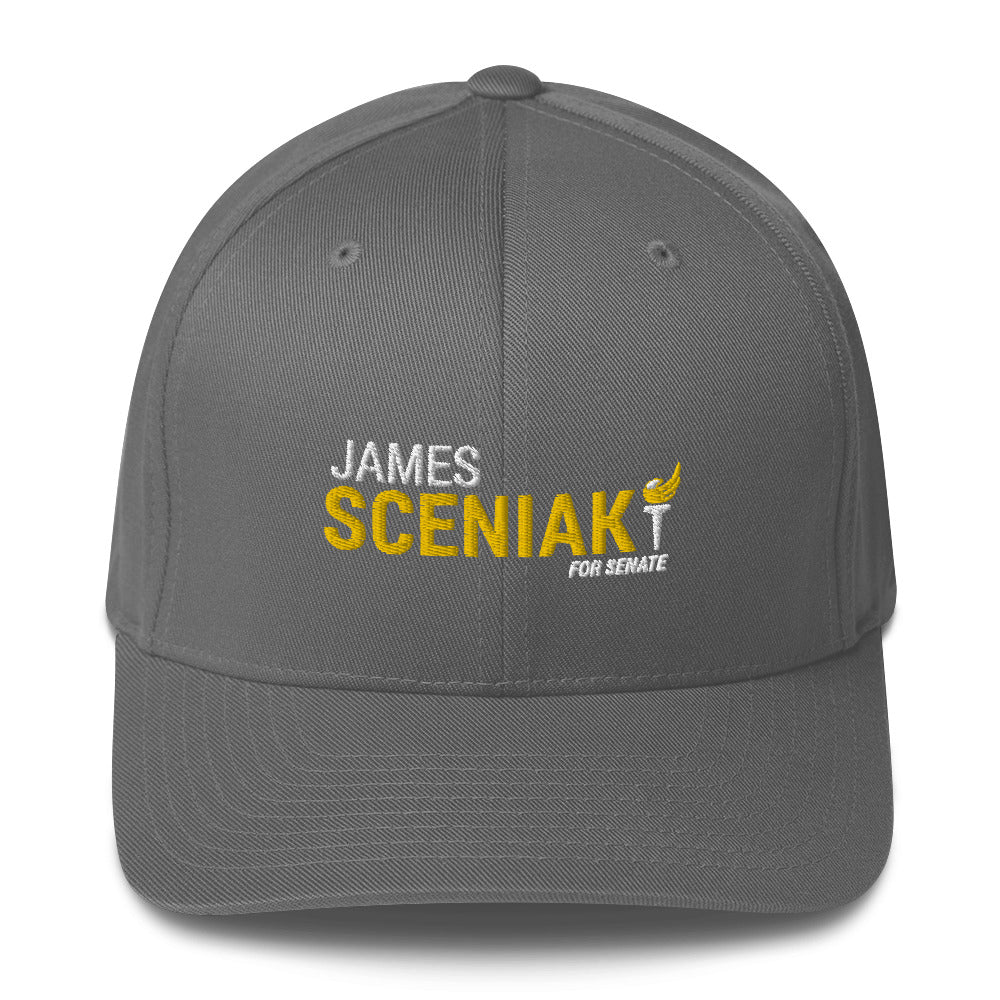 Sceniak for Senate Structured Twill Cap - Proud Libertarian - Sceniak for Senate