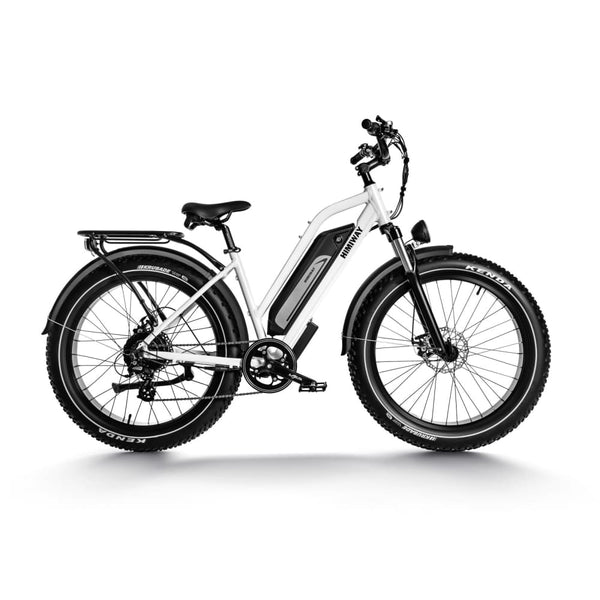 Himiway Cruiser Step-Thru Fat Tire Electric Bike by Ultra E-Bikes – Proud  Libertarian